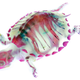 Illustration for article titled These psychedelic animal specimens are unlike anything youve ever seen